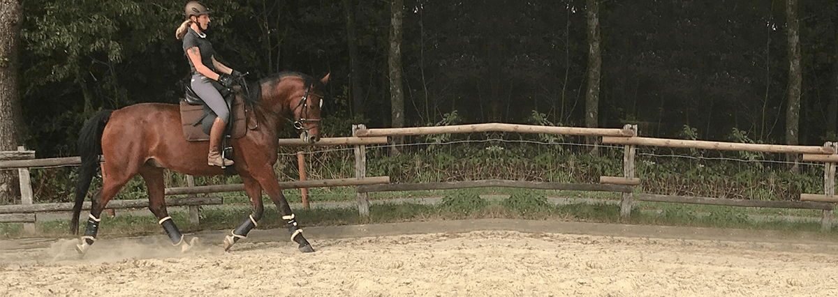 Mobiler Reitunerricht, Pferdetraining und Beritt - Pferdetrainerin Kati Auer