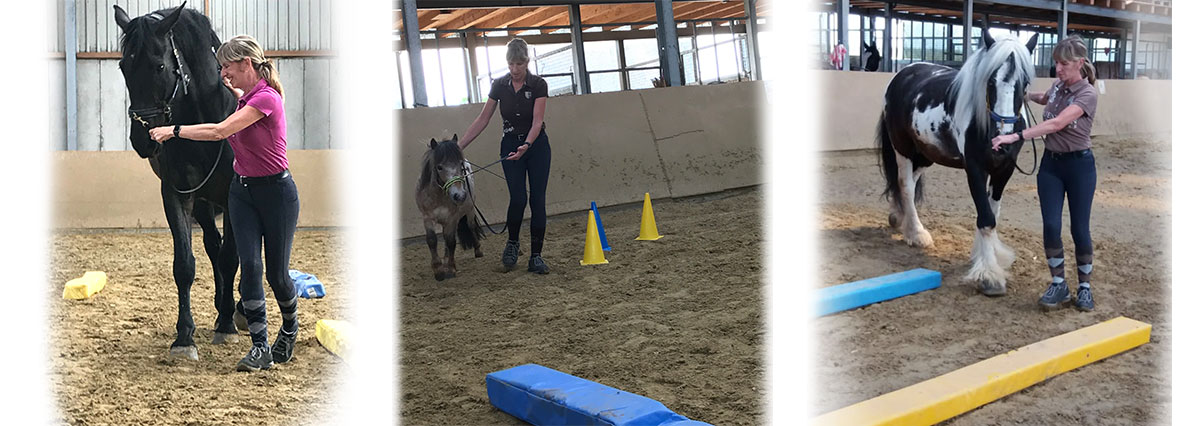 EquiClassic-Work® mit Kati Auer