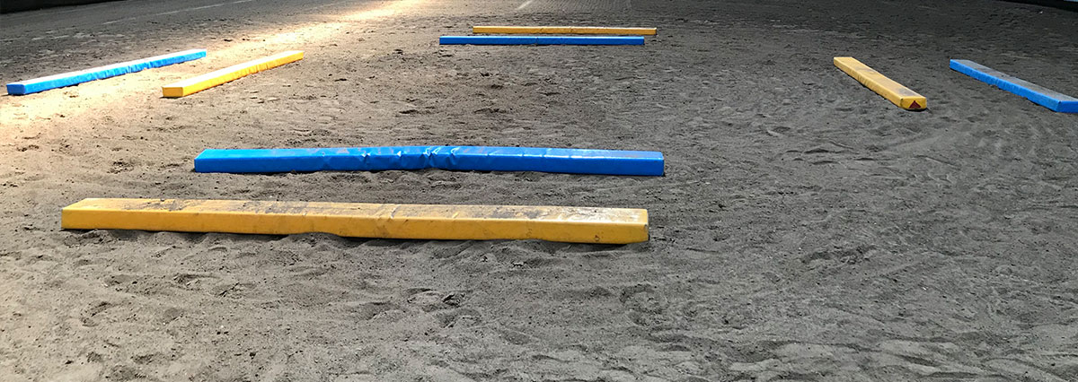 Equikinetic mit Kati Auer nach Michael Geitner