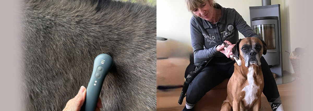 Schallwellentherapi mit Nofavon